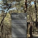 창원 최윤덕 묘역 이미지