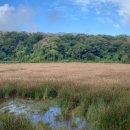 병정목장 이미지