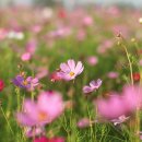 구리한강시민공원 이미지