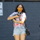 윌리스펫 이미지