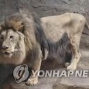 사자공인중개사사무소 이미지