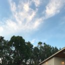 스테이3355 이미지