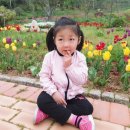 삼학도 중앙공원 이미지