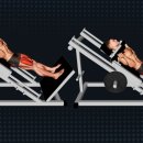 피트니스코 이미지