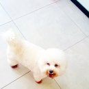 봉봉이 놀이터 이미지