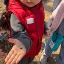 장수어린이공원 | 잠실 올림픽공원 봄숲체험 후기, 5세 아이도 푹 빠진 아이고고 유아숲체험 (맘숲놀이연구소)