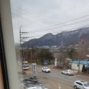 양평칼국수 이미지