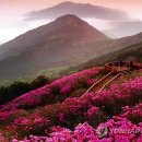 천주산 등산로 입구 이미지