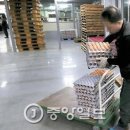 김밥가게 이미지