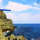 부산 오륙도 스카이워크=심장은 두근, 눈은 환해지는 길… 바다 경계 따라 걷는 여행 이미지