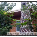 살구나무펜션민박 이미지