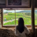 도락민박 이미지