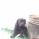 뉴페이스 이미지