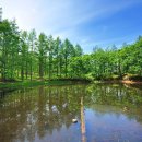 수채화 초중급 | 정선 도롱이연못(+주차장, 가는길) | 하늘길 끝에서 만나는 숨겨진 힐링연못