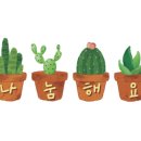 블루 아리아 이미지