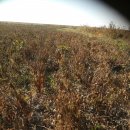 우람농장 이미지