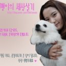 한일주단 네이버블로그