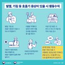소담 이미지
