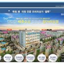시래쿡