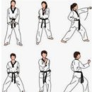 쌍용예가태권도 이미지