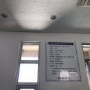 사또7080 | 울릉도 모노레일은 울릉도 차이나타운에 있다? 버스 타고 태하, 대풍감, 등대까지
