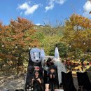 자연속캠핑장 | 유유네 15th 캠핑 경남 밀양 자연속캠핑장 재방문 할로윈캠핑 후기