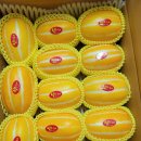 다혜농장 이미지