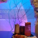 투썸플레이스덕례점