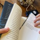 동해해물탕송정점 이미지