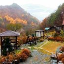 정선마루펜션 이미지