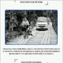 치아살리기 드림365치과의원 이미지