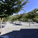 별천지야영장 이미지