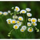 금월농장 이미지