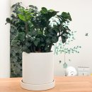 서운근린공원 | 목동 부부상담 통해 다시 바라보게 된 우리의 변화입니다