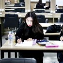 애견패션제작 이미지