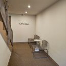 파루스셀라 성수 이미지