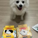 데이미 | 강아지 노즈워크 장난감 바잇미 런드리데이 플레이북 난이도 후기