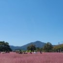 해피드림펜션 이미지