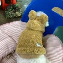 9호수원회집