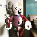 다니엘컴패니언