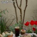 코모도테이블(COMODO TABLE)