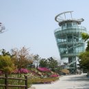 H9223 Daum카페