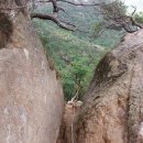 동산계곡 주차장 이미지