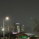 세종달빛약국 이미지