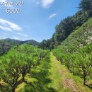 선택목장 이미지