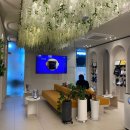 비오페이스의원 이미지