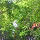 해남농장 이미지