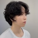 박승철헤어스투디오 시흥홈플러스점 | 금천구 시흥1동 미용실 가볼만한 곳 5 총정리