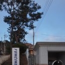 온천로165번길 이미지