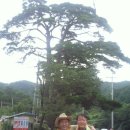 인섭 농장 이미지